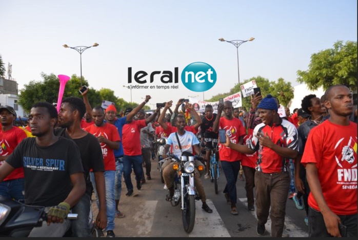 Marche pacifique pour soutenir les peuples comorien et guinéen: les activistes ont massivement répondu à l'appel