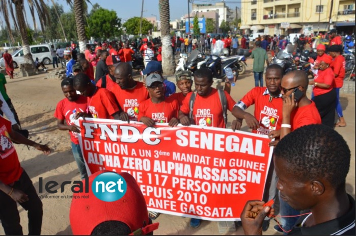 Marche pacifique pour soutenir les peuples comorien et guinéen: les activistes ont massivement répondu à l'appel
