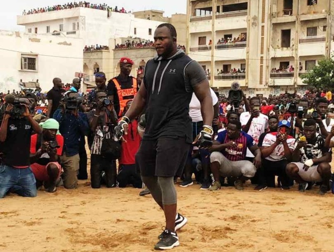 Modou Lô désigné meilleur lutteur de l’année