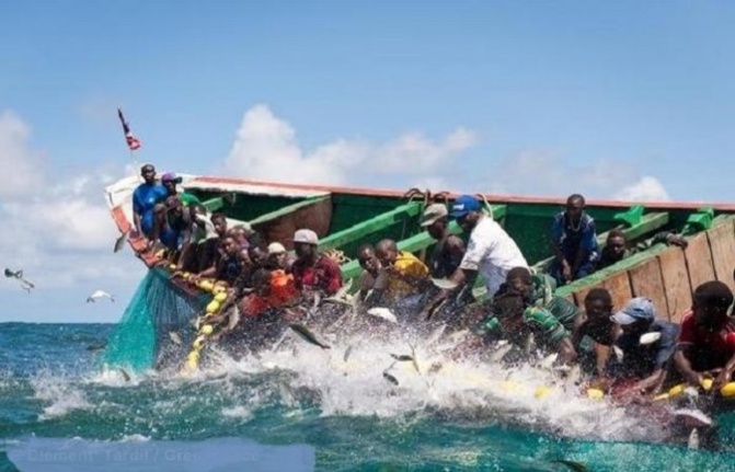 Accidents en mer : 70 morts entre janvier et octobre
