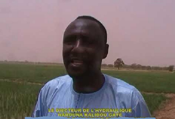 Sanction jugée arbitraire et sans fondement : une lettre Ouverte adressée à Harouna Kalidou Gaye Directeur de l’Hydraulique