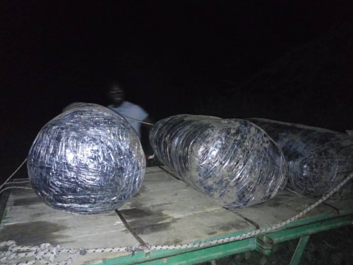 Thiès : Saisie de 660 kilogrammes de chanvre indien sur des charrettes  (images)