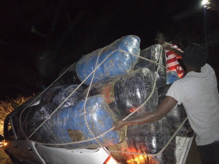 Thiès : Saisie de 660 kilogrammes de chanvre indien sur des charrettes  (images)