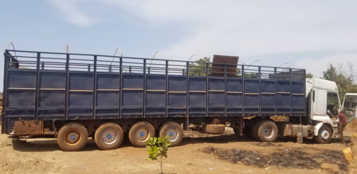 Saisie d’une tonne de chanvre indien à Kédougou: Comment les trafiquants ont été démasqués (images) Saisie d’une tonne de chanvre indien à Kédougou: Comment les trafiquants ont été démasqués (images)