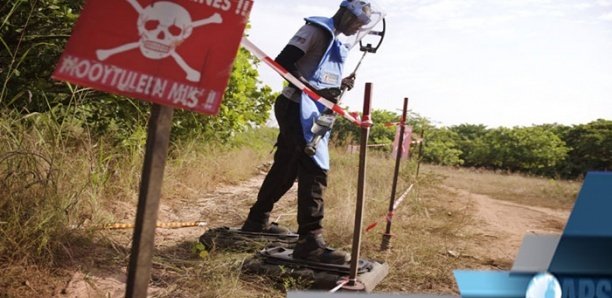 Conflit casamançais: Goudomp encore sous la menace des mines