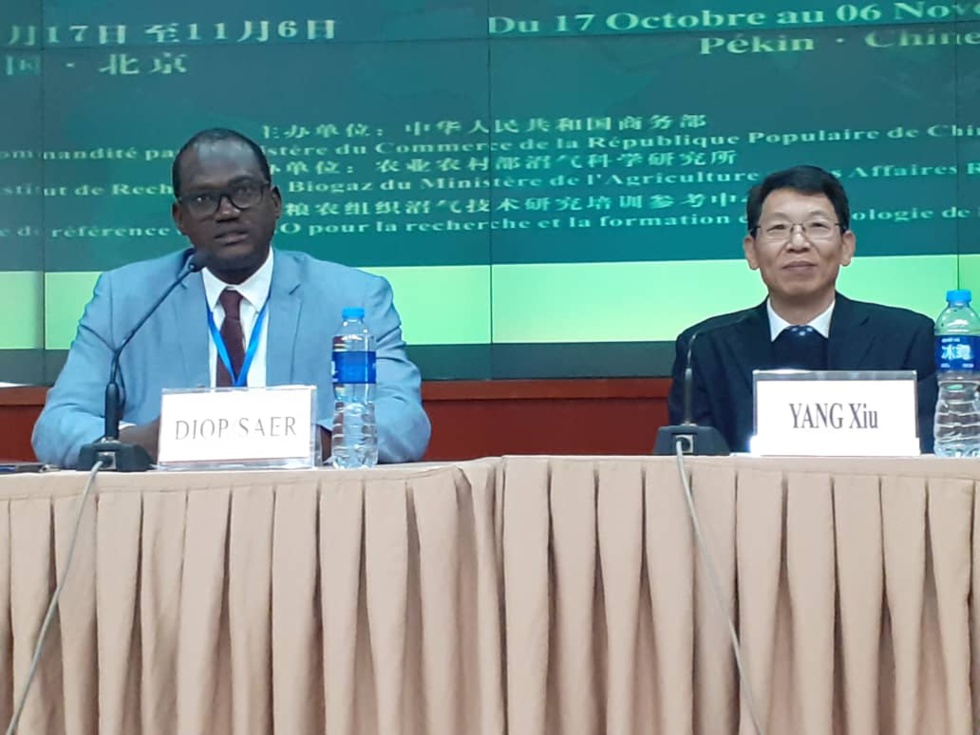 PROMOTION DE LA BIOMASSE: La Chine va installer un centre de formation au Sénégal