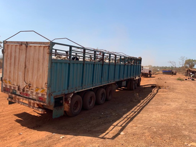 Kédougou: la Brigade des Douanes de Moussala saisit 248 kg de chanvre indien (images) Kédougou: la Brigade des Douanes de Moussala saisit 248 kg de chanvre indien (images)