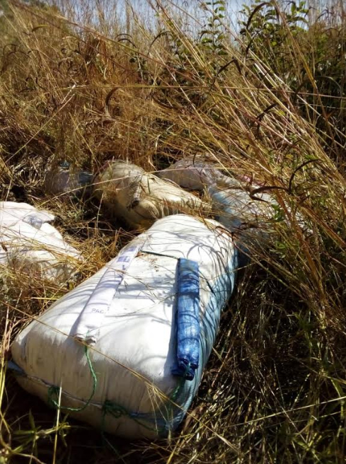 Trafic de chanvre indien: plus de 300 kg saisis à Missirah et Joal, 3 individus arrêtés