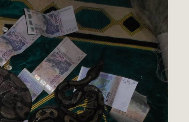 Sombre affaire de multiplication de billets de banque: Le commerçant perd 7 millions, un serpent «déféré» avant de disparaître mystérieusement
