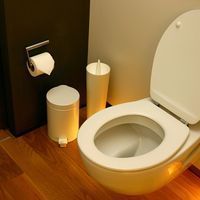 Hygiène pratique : faut-il avoir peur des WC ?