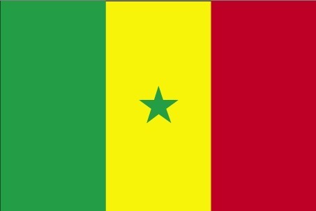 Le plus grand complot de l'histoire du Sénégal