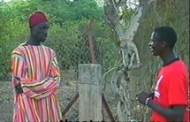 Sanekh, Goss Sow et ... le Singe : qui est le plus beau ?