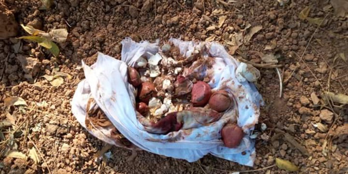 Kédougou: Un arsenal mystique découvert sur la tombe d'un notable de la région