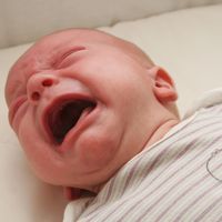 Coliques du nourrisson : le cauchemar des parents