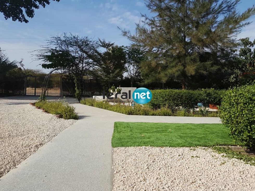 5500 m2 à Vendre après la réserve de Bandia