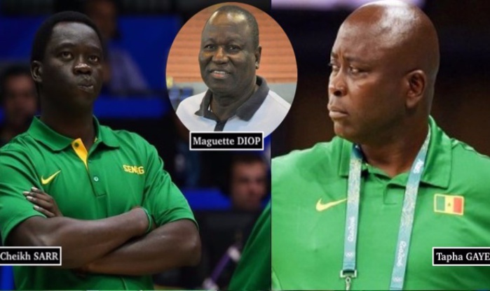 Basket: Tapha Gaye nouveau DTN, Cheikh Sarr et Maguette Diop démis de leurs fonctions