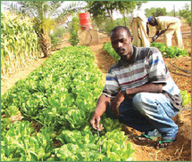 Forum sur les technologies agricoles et la sécurité alimentaire, samedi