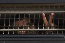 ’’Journée du prisonnier palestinien’’ : appel pour une application du droit international