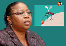 Paludisme : le traitement est désormais gratuit