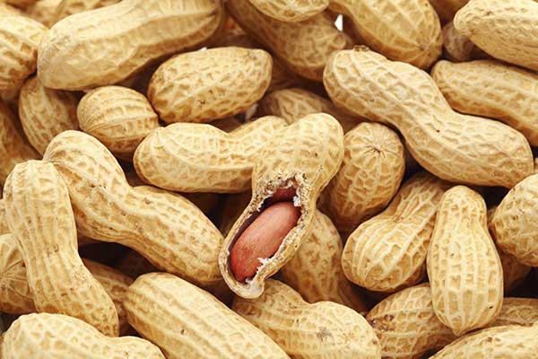 Campagne arachidière : « la Sonacos va se mettre à niveau et acheter le prix au kilo à 250 francs », selon Aminata Touré