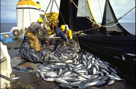 Greenpeace félicite Macky Sall