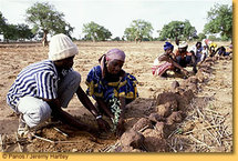 La Banque mondiale donne une nouvelle impulsion à la lutte contre la sécheresse dans la Corne de l’Afrique et  au Sahel