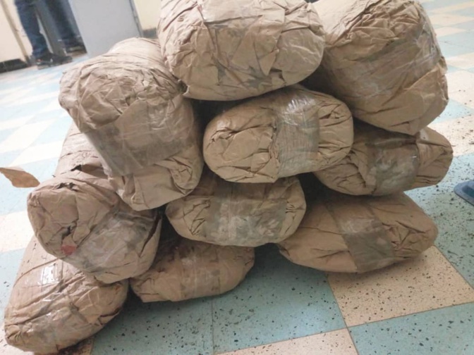 Saisie de plus d’une tonne de chanvre indien à Mbour