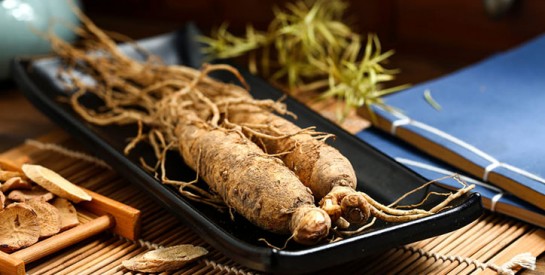 Le ginseng, une plante pour retrouver du tonus !