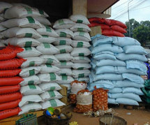 Le Japon offre 17.500 tonnes de riz au Sénégal Le Japon offre 17.500 tonnes de riz au Sénégal