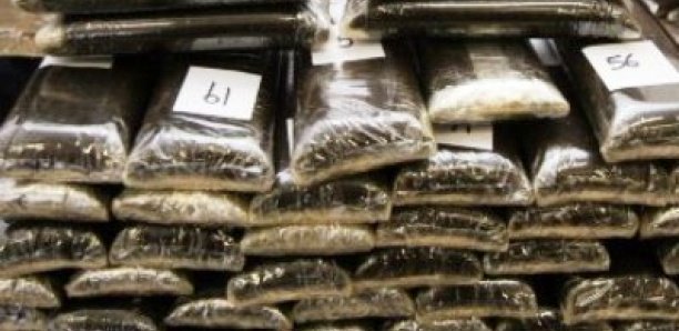 120 kg de cocaïne saisis au Port : la drogue était cachée dans le système de ventilation du navire