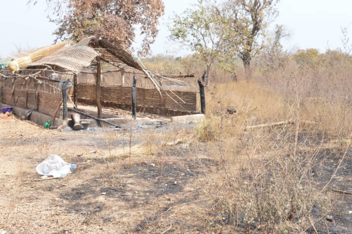 PHOTOS - Les terribles images de l'incendie qui a ravagé Thiancoun Malal