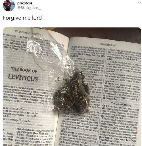 Elle fume de l’herbe avec la partie de la Bible demandant aux femmes d’être soumises