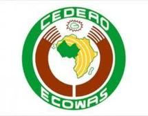 La CEDEAO favorable à un cadre fédérateur de gestion des forêts