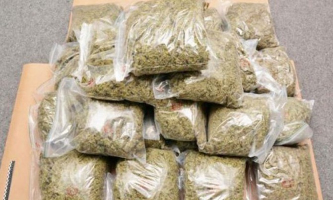 Pour offre et cession de drogue: Mamadou Niang encourt 5 ans de prison