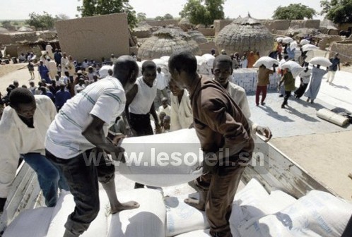 Crise alimentaire et nutritionnelle : Un fonds d’urgence de 3,6 milliards de FCfa de l’Onu au Sénégal