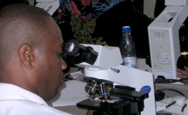 Coronavirus: Un traitement inspiré de celui contre le paludisme
