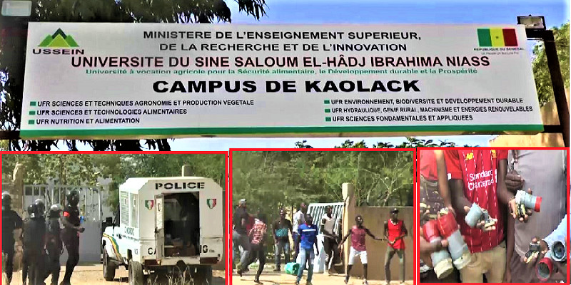 KAOLACK - Les étudiants de l'Université du Sine Saloum décrètent une grève illimitée et menacent de... (VIDEO)