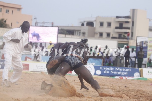 [Vidéo et photos] Modou Anta envoie Balla Diouf à l'Ipres