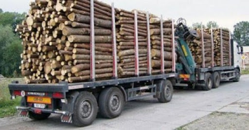 Coupe de bois de la Casamance : 117 milliards de FCFA volés au Sénégal par la Gambie Coupe de bois de la Casamance : 117 milliards de FCFA volés au Sénégal par la Gambie