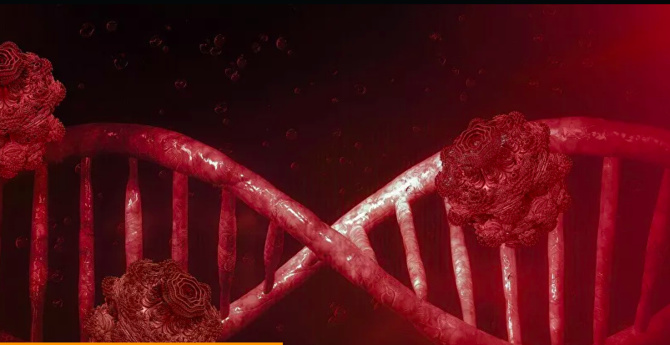 La Russie a entièrement décodé le génome du coronavirus