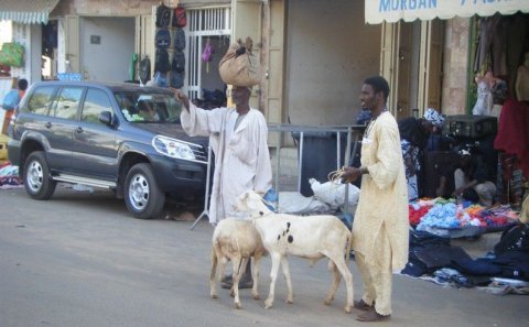 Chronique de DIA SECK - Dakar : capitale des ruralités urbaines