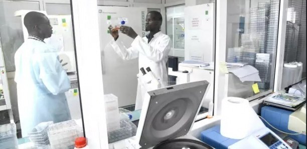 Dakar va produire des tests rapides de dépistage du coronavirus à moins d’un euro