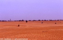 Rétrocession d’un terrain de plus de 10 hectares à Mbao Macky corrige Wade et tacle la direction générale des impôts et domaines