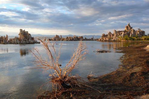 L'hypothèse d'une vie basée sur l'arsenic remise en cause