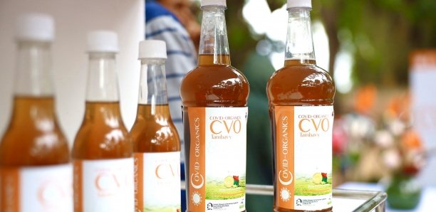 Covid-Organics- Le nouveau remède contre le coronavirus: Deux malades guéris avec ce remède