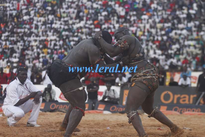 [Photos] Revivez le face-à-face Modou Lô Vs Gris Bordeaux