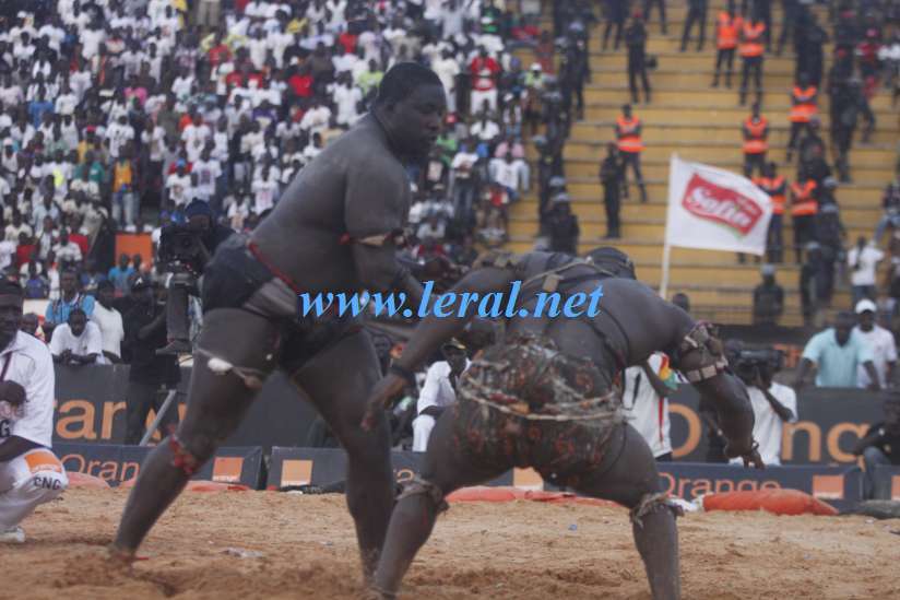 [Photos] Revivez le face-à-face Modou Lô Vs Gris Bordeaux