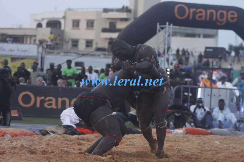 [Photos] Revivez le face-à-face Modou Lô Vs Gris Bordeaux