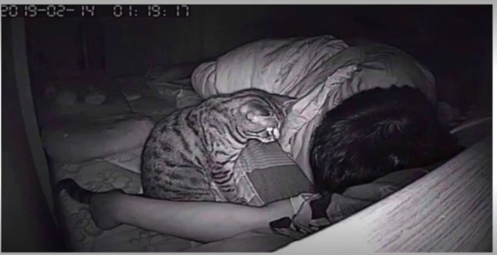 Il installe une caméra dans sa chambre et découvre pourquoi il rêvait qu'il s'étouffait pendant la nuit