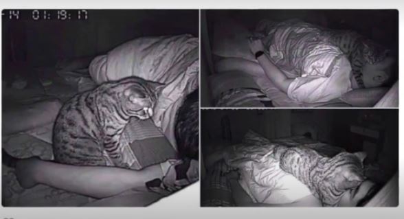 Il installe une caméra dans sa chambre et découvre pourquoi il rêvait qu'il s'étouffait pendant la nuit